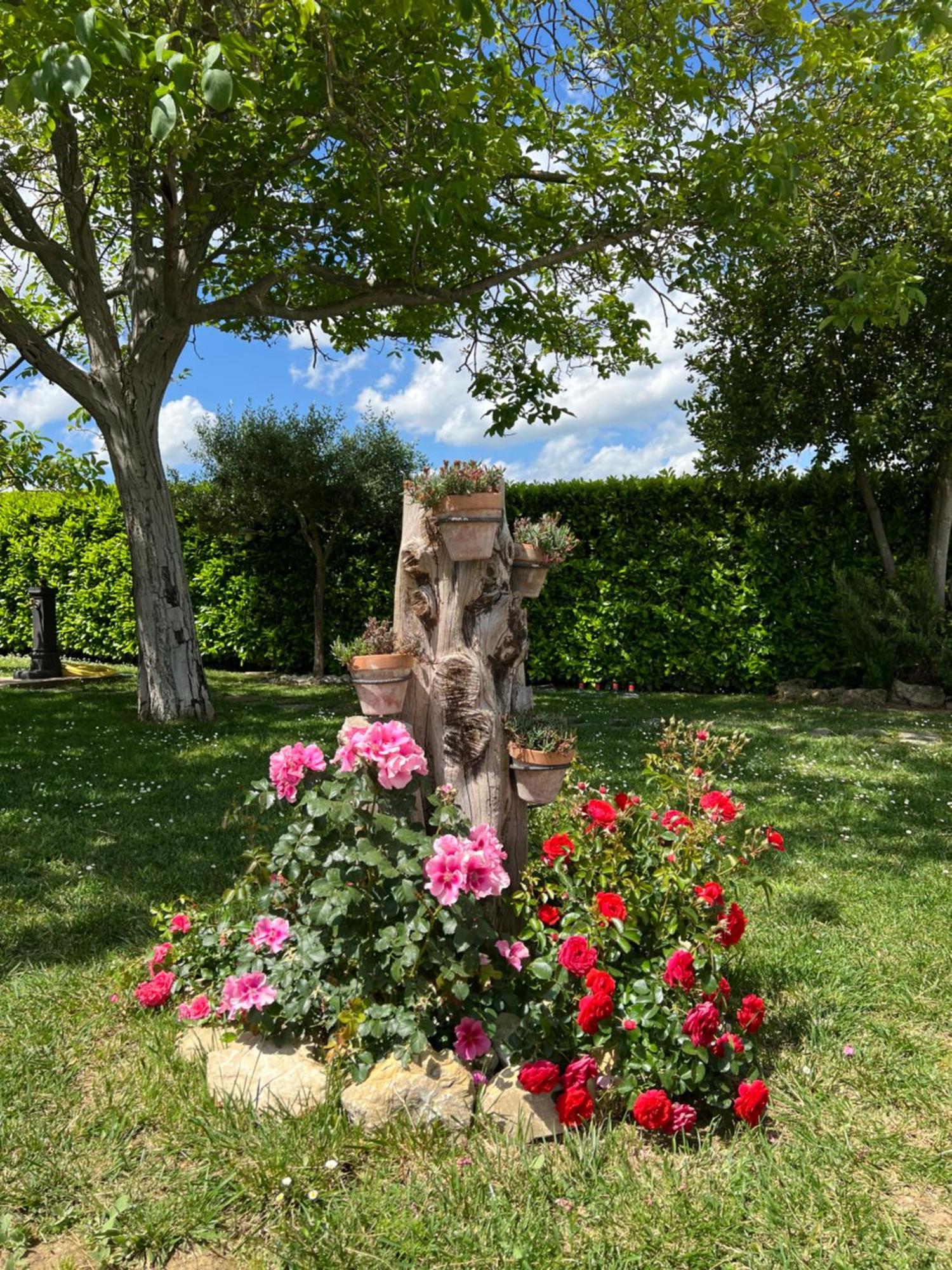 Appartamento Assisi, La Noce Esterno foto