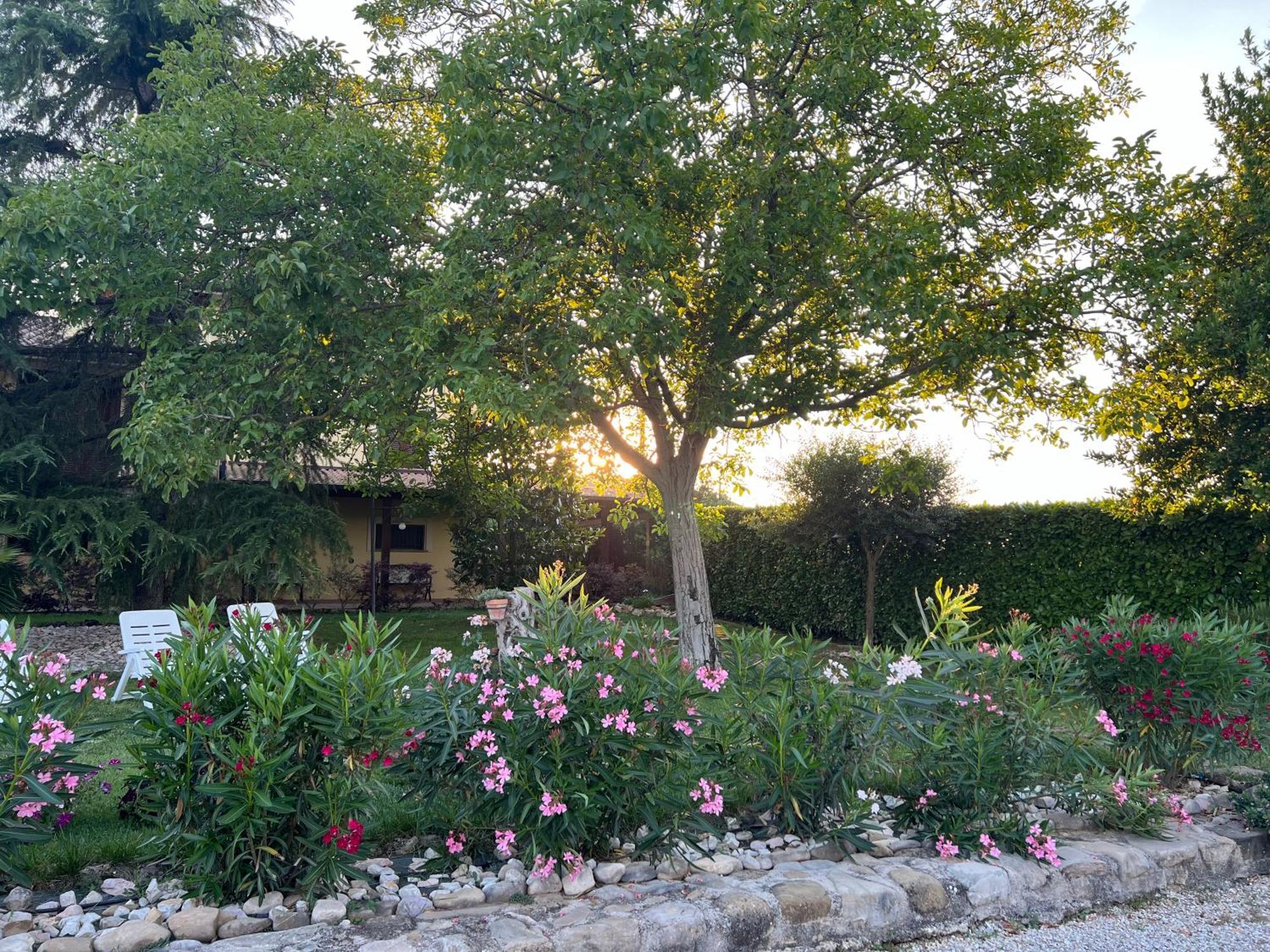 Appartamento Assisi, La Noce Esterno foto